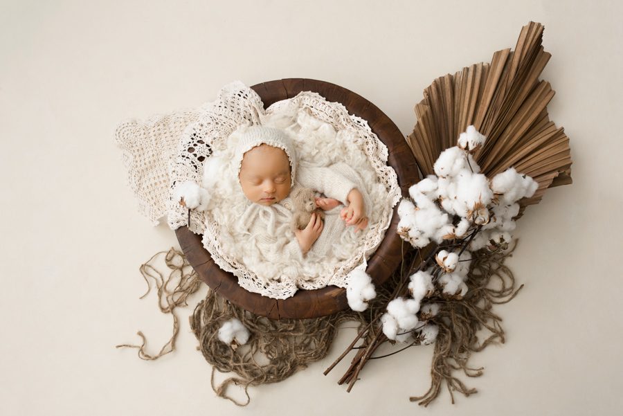 A baby in a basket with cotton flowers.